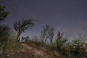 BIB: 
                            <button type="button" onclick="openModal(16050333)" class="btn btn-primary btn-sm float-right btn-popup" data-toggle="modal" data-target=".modal-high-quality">
                        <i class="fas fa-shopping-cart"></i> Add to Cart
                    </button>
                                            <button type="button" onclick="isThisMe(16050333, true)" class="btn btn-success btn-sm float-right btn-popup btn-isme hidden" data-toggle="tooltip" data-placement="bottom" title="นี่คือรูปของคุณใช่ไหม คลิกที่นี่เพื่อเอาเข้าอัลบั้ม">
                        <i class="fas fa-plus"></i> Add to album
                    </button>
                    <button type="button" onclick="isThisMe(16050333, false)" class="btn btn-warning btn-sm float-right btn-popup btn-isnotme hidden">
                        <i class="fas fa-ban"></i> Remove from album
                    </button>